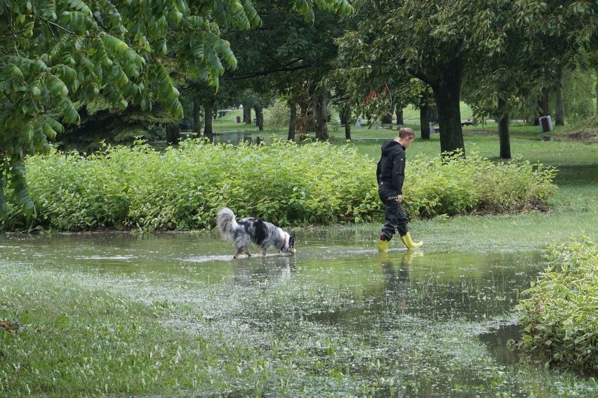 Białystok. Park Antoniuk zmienił się w jezioro (zdjęcia)
