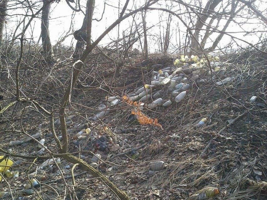Z lasy wywieziono dwa kontenery śmieci