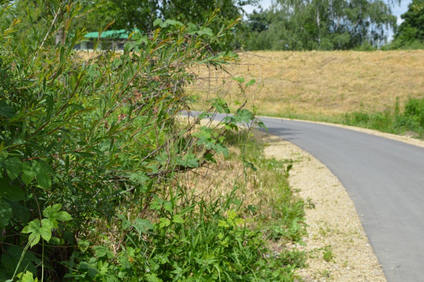 Niebezpieczna i zaniedbana ścieżka utrapieniem cyklistów