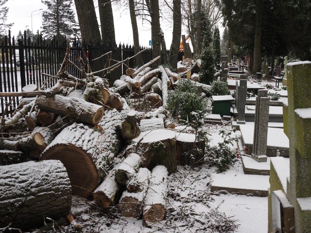 Na koszalińskim cmentarzu komunalnym trwa usuwanie skutków ostatniej wichury oraz wycinka około 100 chorych drzew.