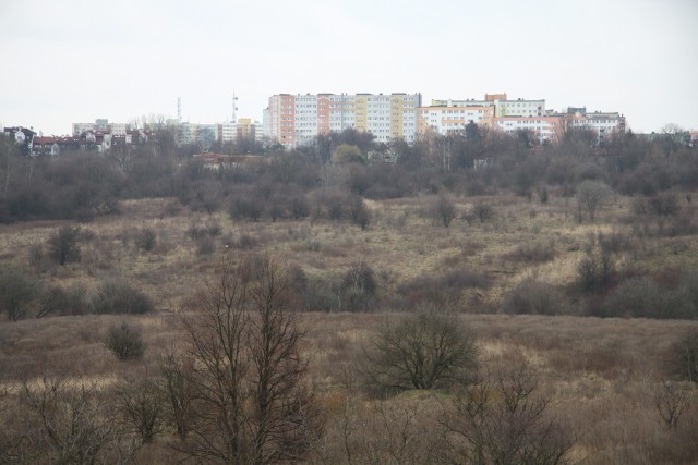 Górki czechowskie mają 105 hektarów powierzchni. TBV, który jest właścicielem gruntu, chce tam wybudować 2-3 tys. mieszkań