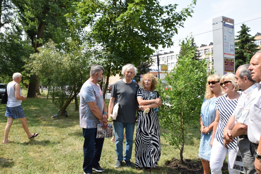 Trwa Międzynarodowy Festiwal Muzyczny imienia Krystyny Jamróz. Alicja Majewska zasadziła drzewko w Busku (ZDJĘCIA)