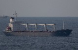 Turcja: Pierwszy statek z ukraińską kukurydzą jest już po inspekcji. Kiedy dotrze do Libanu?