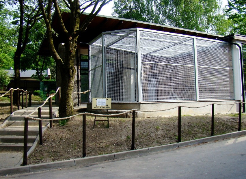 Nowości w Śląskim Ogrodzie Zoologicznym