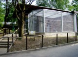 Nowości w Śląskim Ogrodzie Zoologicznym. Nowy pawilon dla gepardów [ZDJĘCIA]