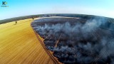 W gminie Golczewo spłonęło kilka hektarów pól i fragment lasu [wideo, zdjęcia]