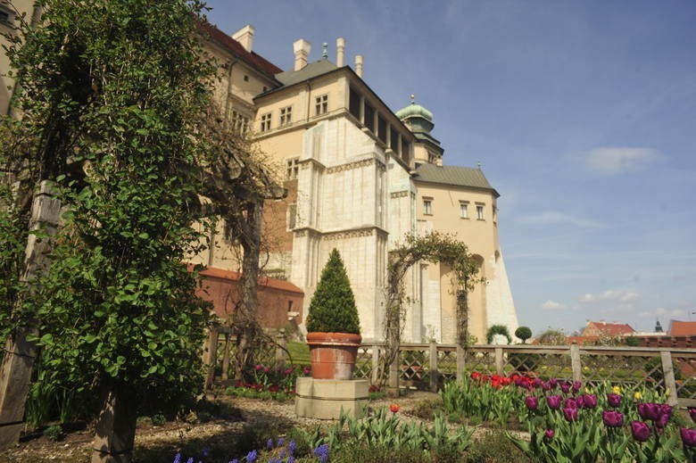 Zamek Królewski na Wawelu...
