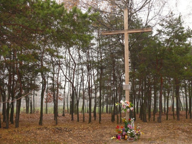 Krzyż na wzgórku stał się obiektem konfliktu prezydenta z "Solidarnością&#8221;, częścią radnych i przedstawicielami Kościoła.