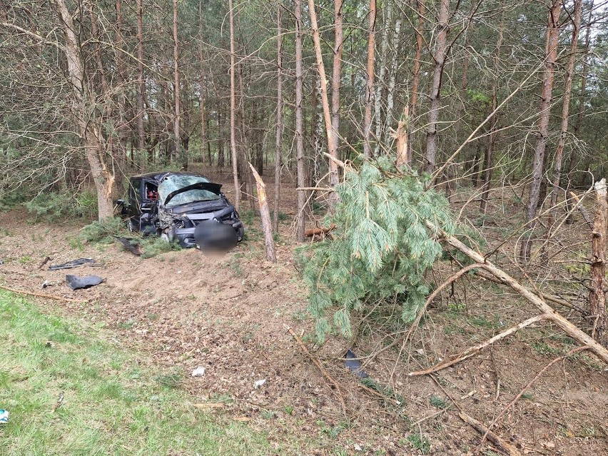 Wypadek w Perzanowie. 14.04.2024 kierowca osobówki wylądował na drzewie. Był pijany!
