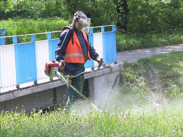 Warkot kosiarek bywa uciążliwy dla mieszkańców blokowisk, zwłaszcza jeśli koszenie odbywa się bladym świtem, albo w sobotę.