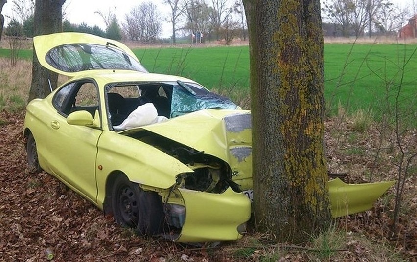 Samochód uderzył w drzewo