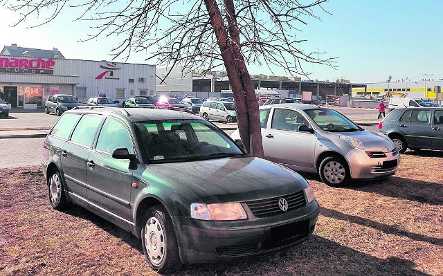 Karol Cegłowski poinformował ,,GL’’, że spółdzielnia będzie budowała po 10 miejsc parkingowych, których ma być ponad 100. Parkingi powstaną pomiędzy drzewami. Nie trzeba będzie ich wycinać.