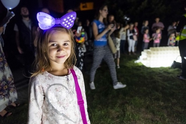 Skyway 2018 już się rozpoczął. Na start dziesiątej edycji festiwalu obejrzeliśmy animację "Twarze".Zobacz na zdjęciach, jak bawili się mieszkańcy regionu.