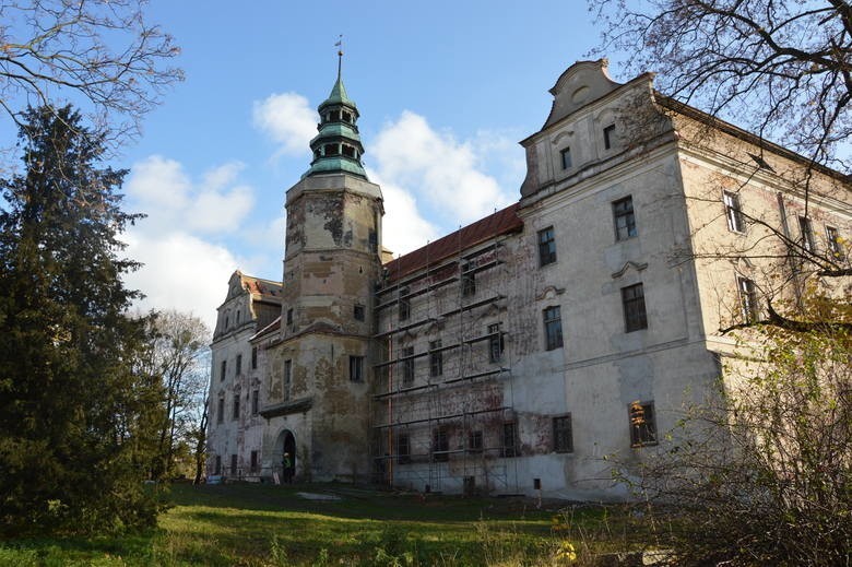 Od czwartku do niedzieli świętujemy Międzynarodowy Dzień...