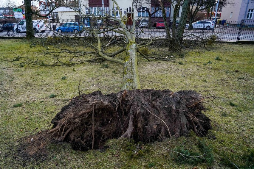 Nadciągają wichury! IMGW: będzie bardzo niebezpiecznie! ALERTY