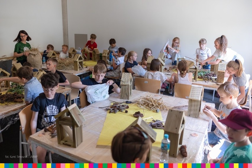 „Zielone Miasto dzikich zapylaczy” na UwB. Białostoccy uczniowie budowali domki dla owadów (zdjęcia)