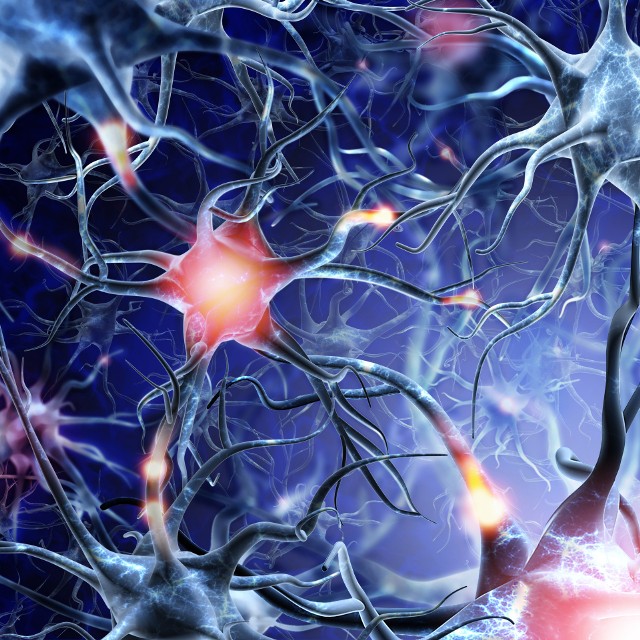 Komórki nerwowe, czyli neurony, komunikują się ze sobą za pomocą neuroprzekaźników, a jednym z nich jest serotonina