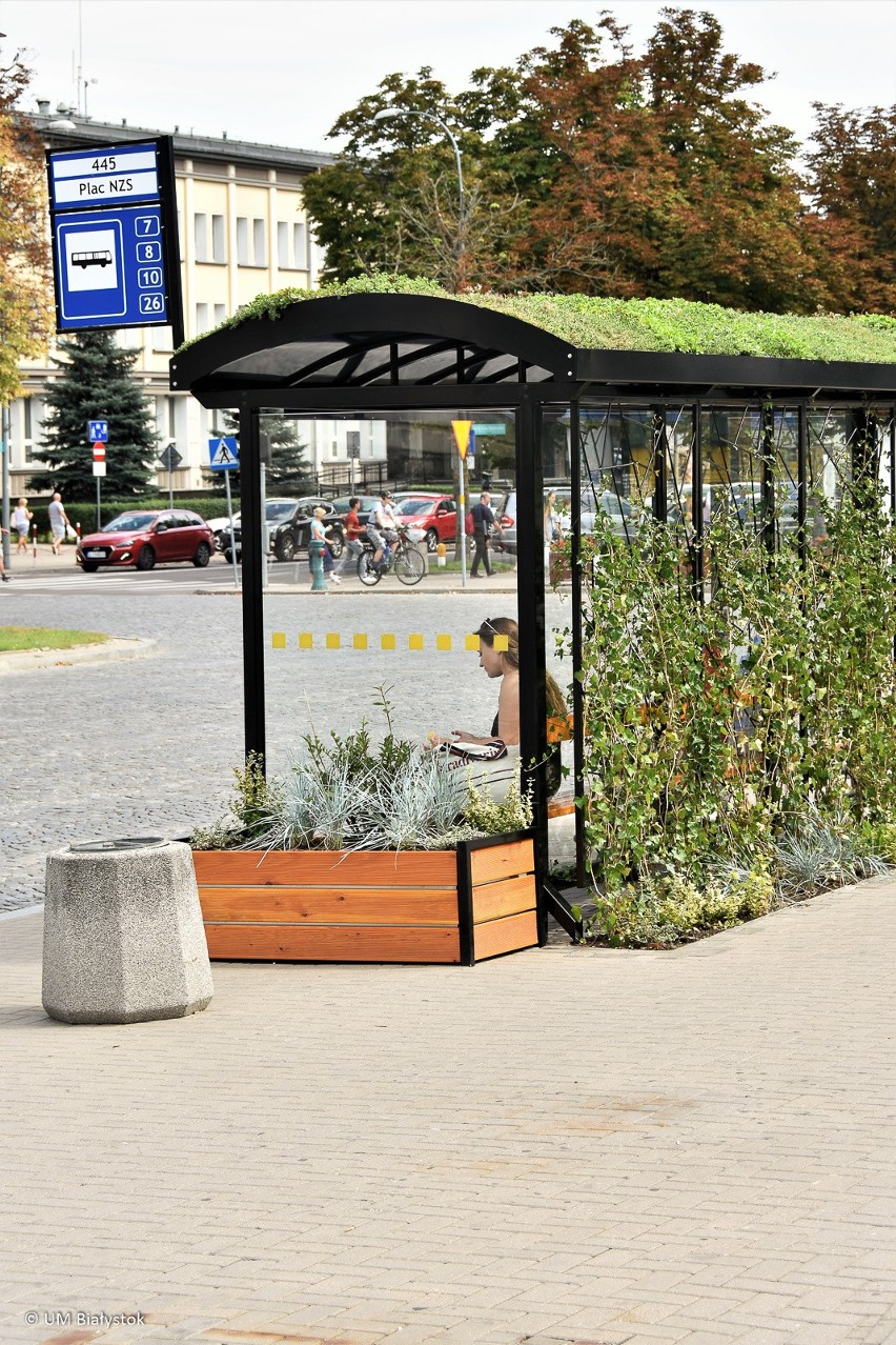 Białostockie zielone przystanki nagrodzone przez...