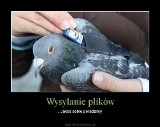 Wysyłanie plików