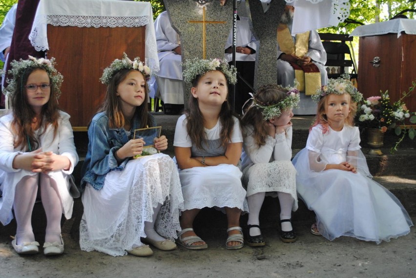 Lubelska pielgrzymka na Jasną Górę. Trzeciego dnia wędrówki był ślub i tańce (ZDJĘCIA)