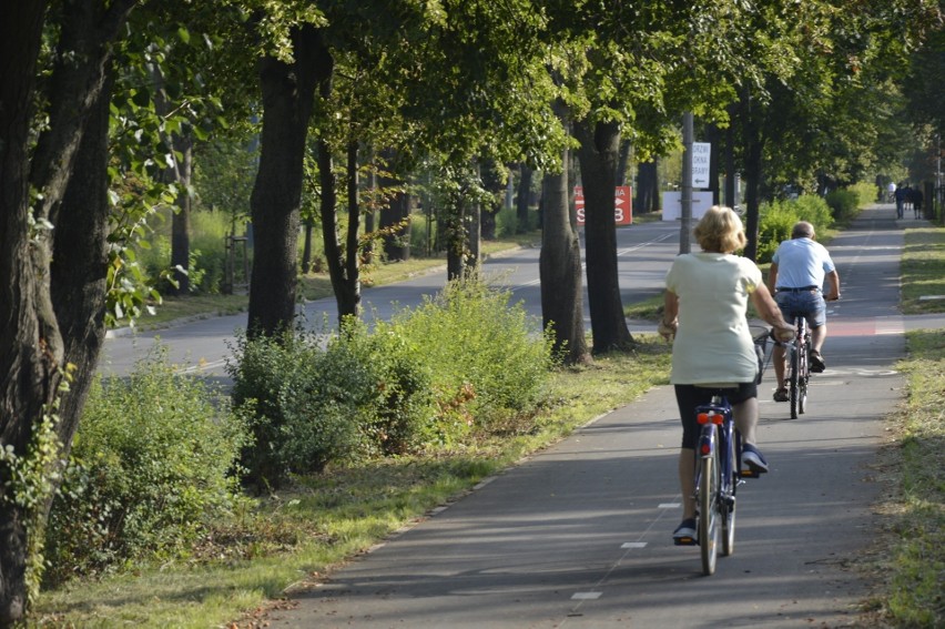 Prace nad mapą rowerową Gorzowa i okolic trwały od maja...