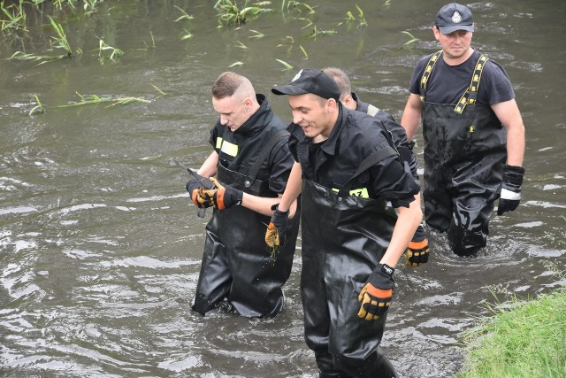 Wielkie sprzątanie rzeki Nacyny w Rybniku trwa. W akcji biorą udział harcerze, strażacy i mieszkańcy