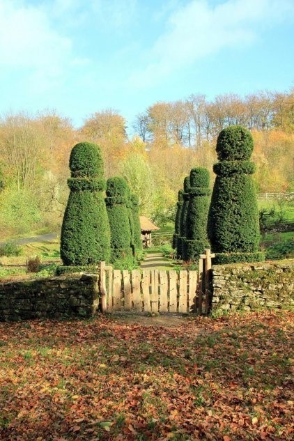 Na topiary najlepiej nadają się krzewy, które również zimą...