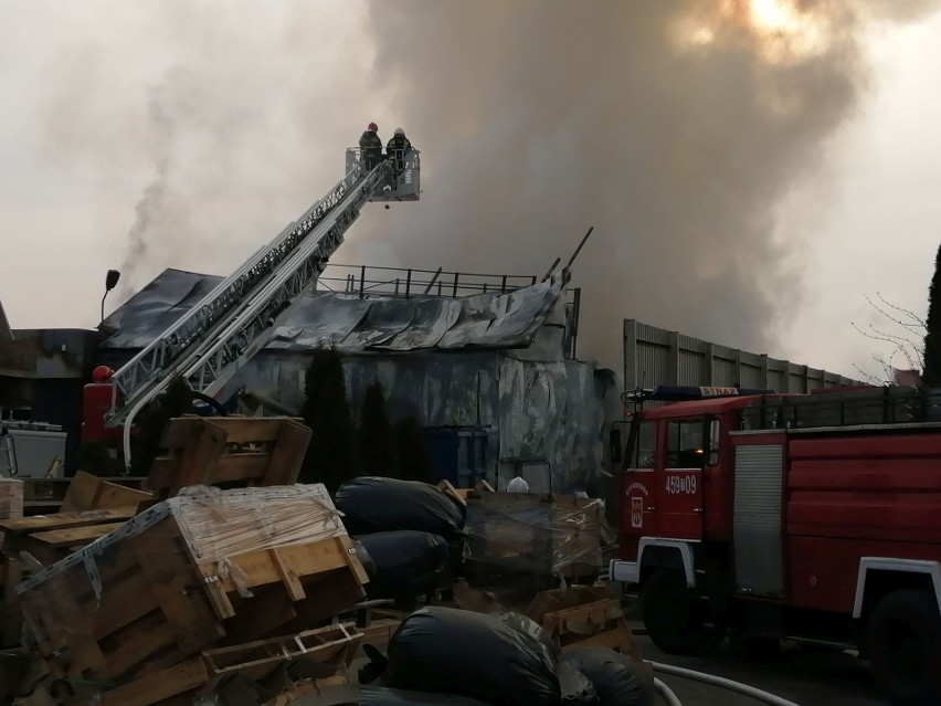 Duży pożar w gminie Bodzechów. Spłonęła hala zakładu produkującego meble (WIDEO, zdjęcia) 