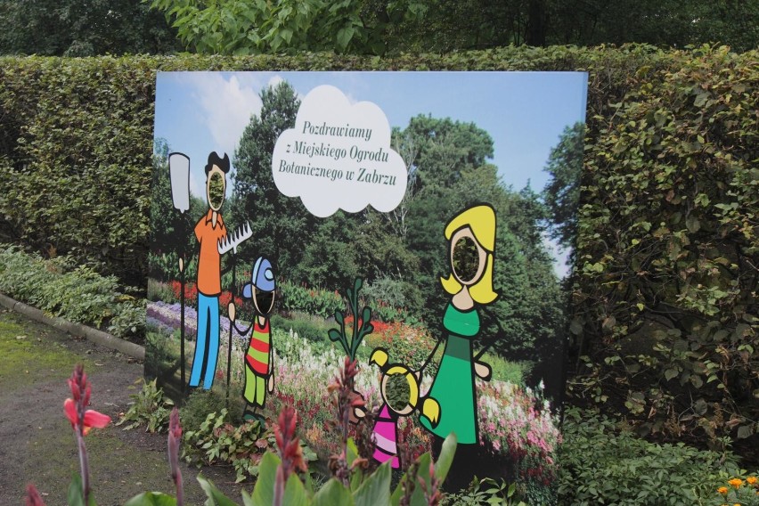 Miejski Ogród Botaniczny w Zabrzu zostanie rozbudowany.