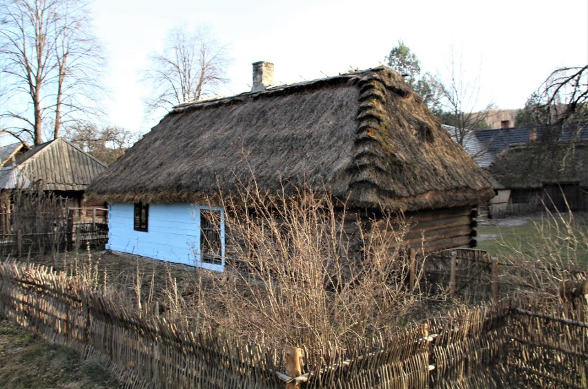 Guciów. Wyprawa na roztoczański „Monastyr”. To miejsce spodoba się miłośników przyrody i prastarych zagadek