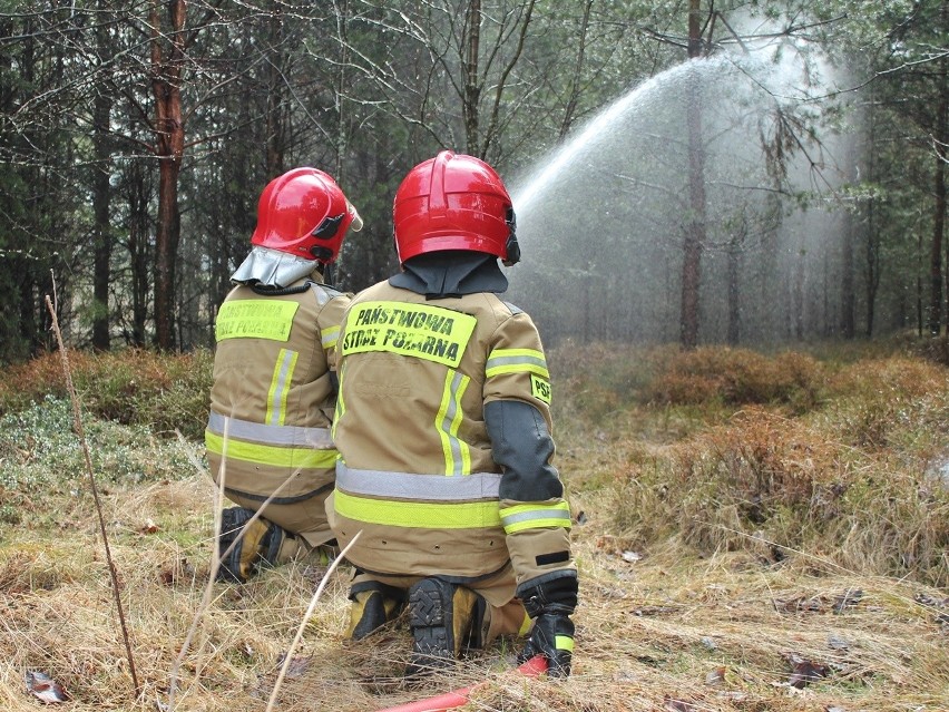 Nowy Targ. Tak szkolili się strażacy z powiatu nowotarskiego w rezerwacie Bór na Czerwonem