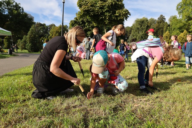 W Parku Śląskim w miniony weekend rozpoczęła się pierwsza tura tegorocznych nasadzeń roślin. W piątek 22 września cebulki kwiatowe posadzili uczniowie z 40 okolicznych szkół i przedszkoli