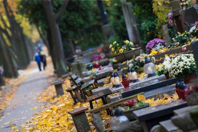 Dzień Wszystkich Świętych i Zaduszki zbliżają się wielkimi krokami. Co jednak, gdy nie mamy czasu posprzątać grobów lub mieszkamy daleko od Wrocławia, a na jednym z miejskich cmentarzy spoczywają nasi bliscy? Warto zastanowić się nad zleceniem porządków firmie sprzątającej groby. Cena usług jest uzależniona od zakresu prac - kwoty wahają się od ok. 50 do nawet 200 zł. Czym dokładnie mogą zająć się firmy porządkowe? Jaki jest koszt poszczególnych usług? O tym przeczytasz na kolejnych slajdach. Po galerii poruszaj się za pomocą strzałek, myszki albo gestów na smartfonie