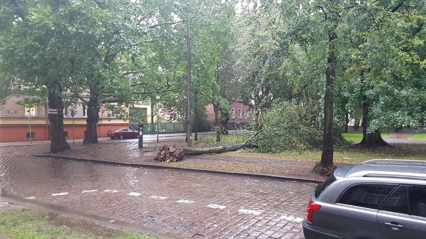 Silny wiatr i opady deszczu w Słupsku oraz regionie [zdjęcia]