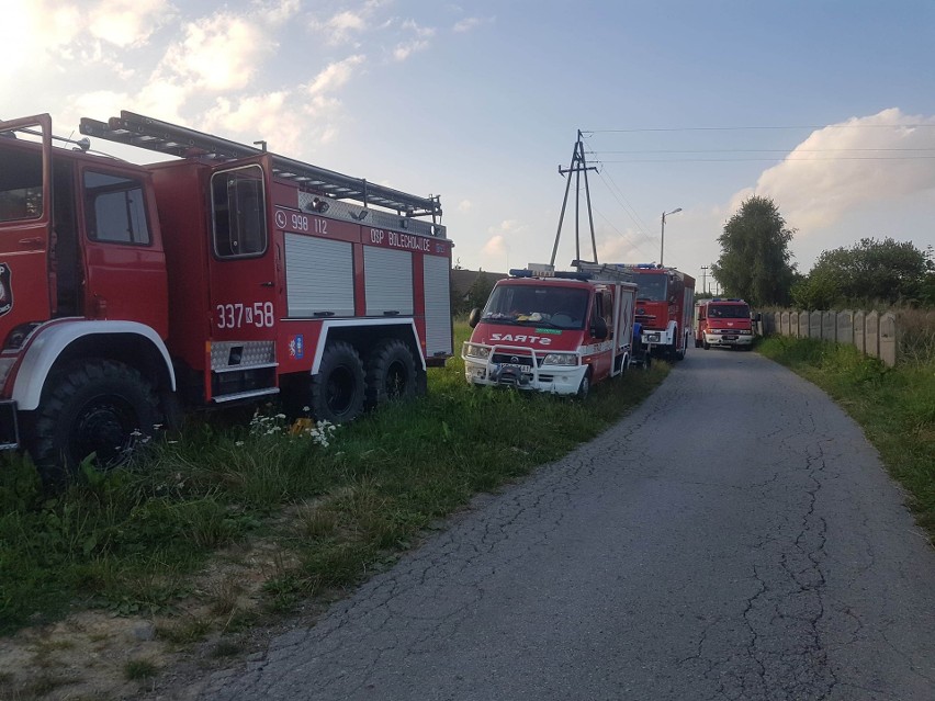 Zaginęła mieszkanka Zelkowa. Krążyła po okolicy, a poszukiwania rozpoczęto po dwóch dniach