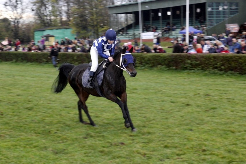 Hubertus 2013: Najszybsze konie biegły z prędkością 60 km/h. Bombonierka najlepsza (ZDJĘCIA)