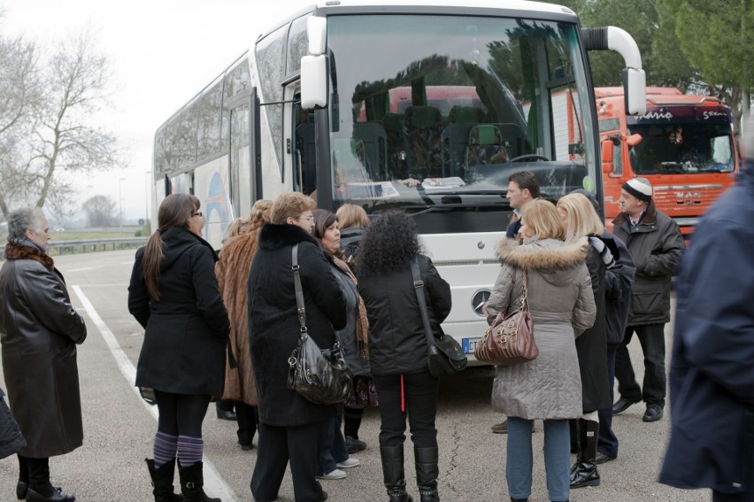 Rozkład jazdy autobusów w Ostrowi Mazowieckiej [Darex, Pradox, Siedlecki, Zawistowscy]