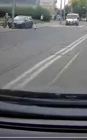 O krok od tragedii! Maluch wybiegł przed samochód na al. Wyzwolenia w Szczecinie. WIDEO