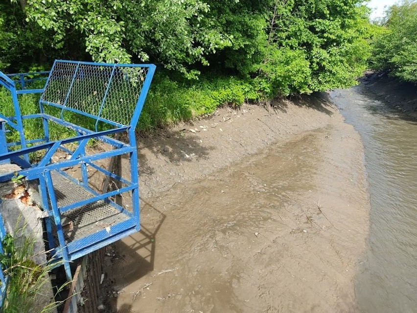 Kraków. Chcą poprawić jakość wody w Zalewie Nowohuckim zamykając dopływ kanału Młynówka. Na to musi się zgodzić ArcelorMittal 
