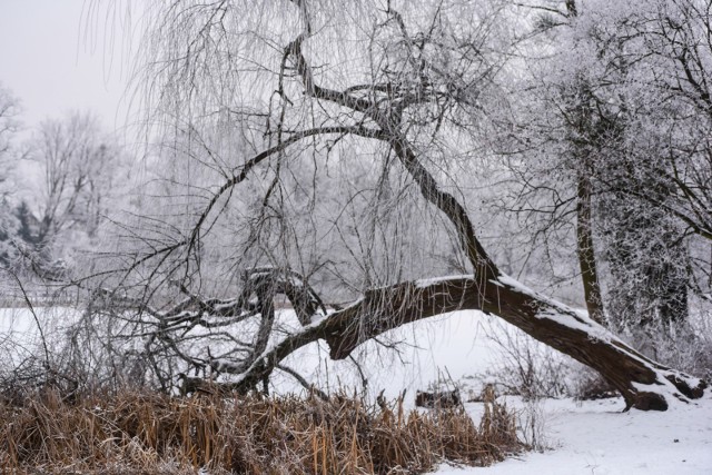 Po ociepleniu na początku tygodnia, teraz do regionu przyjdzie większe ochłodzenie. Najbliższe noce będą mroźne, a w dzień temperatura wyniesie niewiele powyżej zera.Jaka będzie pogoda w najbliższych dniach? Czytaj na kolejnych slajdach ---> Pogoda na dzień + 2 kolejne dni (13 + 14-15.12.2017) | POLSKAŹródło: TVN Meteo/x-news