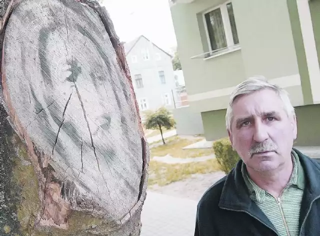 - To nie jest żaden malunek, bo ludziom nie udało się go zmyć z drzewa &#8211; mówi Jerzy Banisz z Międzyrzecza.