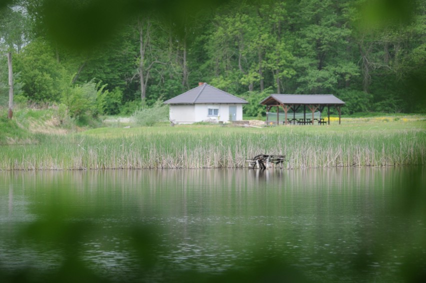 Jak w dobie koronawirusa działają campingi, gdzie niektórzy...