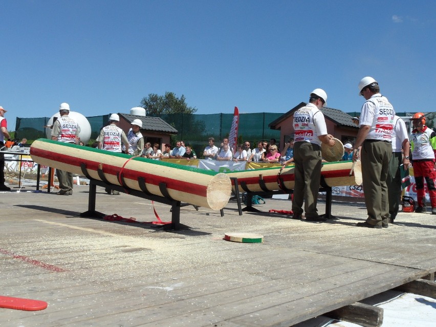 Śląskie Mistrzostwa Drwali 2013 w Radzionkowie