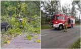 Wichura nad Świnoujściem. Zerwana linia energetyczna. Mieszkańcy bez prądu