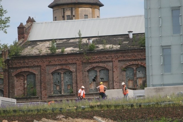 Muzeum Śląskie