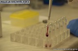 Laboratorium kryminalistyczne w komendzie policji we Wrocławiu. Tak badają ślady zbrodni. Zobacz film