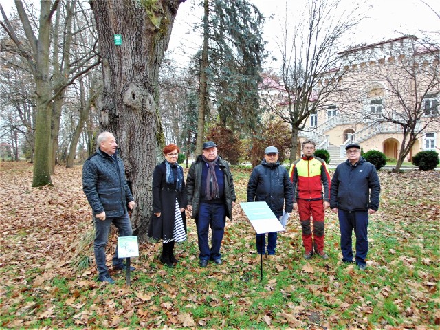 Inwestycję polegającą na pielęgnacji i konserwacji czterech pomników przyrody oraz poprawieniu stanu kilkudziesięciu innych drzew na terenie parku Pałacu Dolańskich w Grębowie zakończono 18 listopada