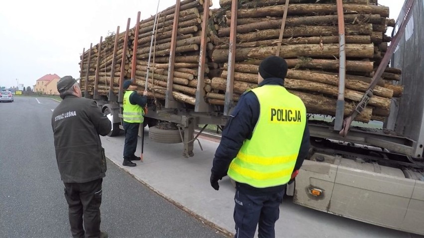 Kolejne przeładowane ciężarówki na drogach Opolszczyzny. Wiozły drewno oraz gruz