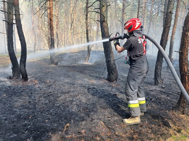 Kilka godzin później strażacy musieli interweniować w Małej Nieszawce po raz trzeci.