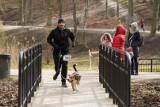 RunGdn Orunia 2022. Patryk Sowiński z Malborka najszybszy na 5 km trasie w Parku Oruńskim. Na mecie 202 biegaczy ZDJĘCIA